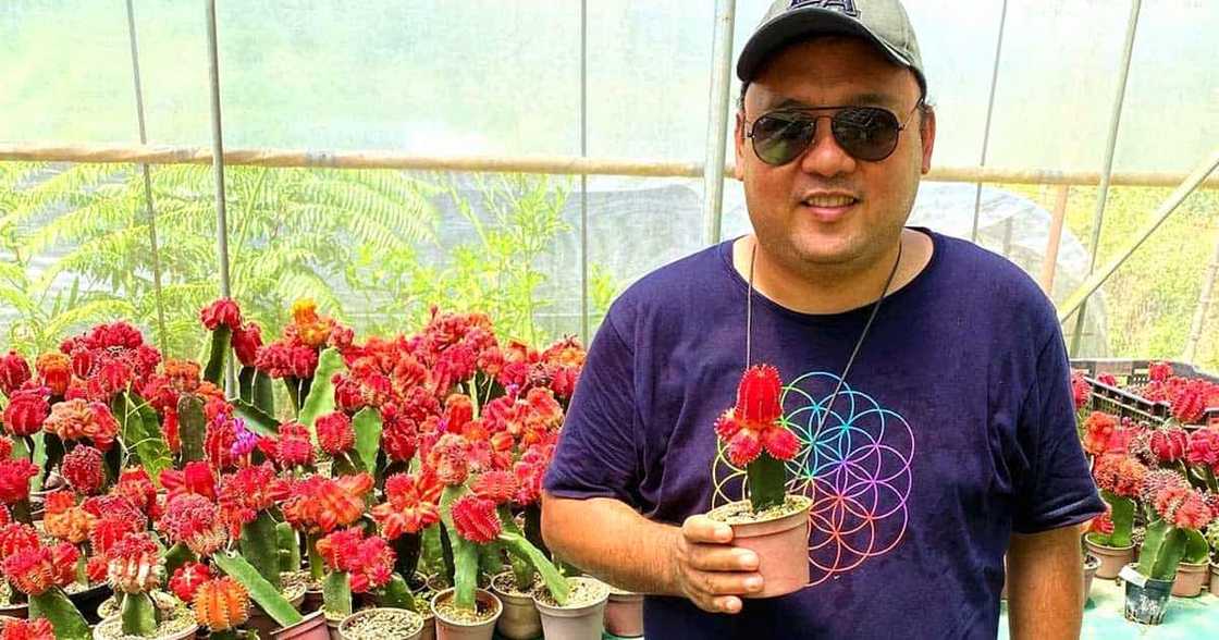 Harry Roque tests positive for COVID-19 infection: ‘It came as a shock’ Harry Roque tests positive for COVID-19 infection: ‘It came as a shock’
