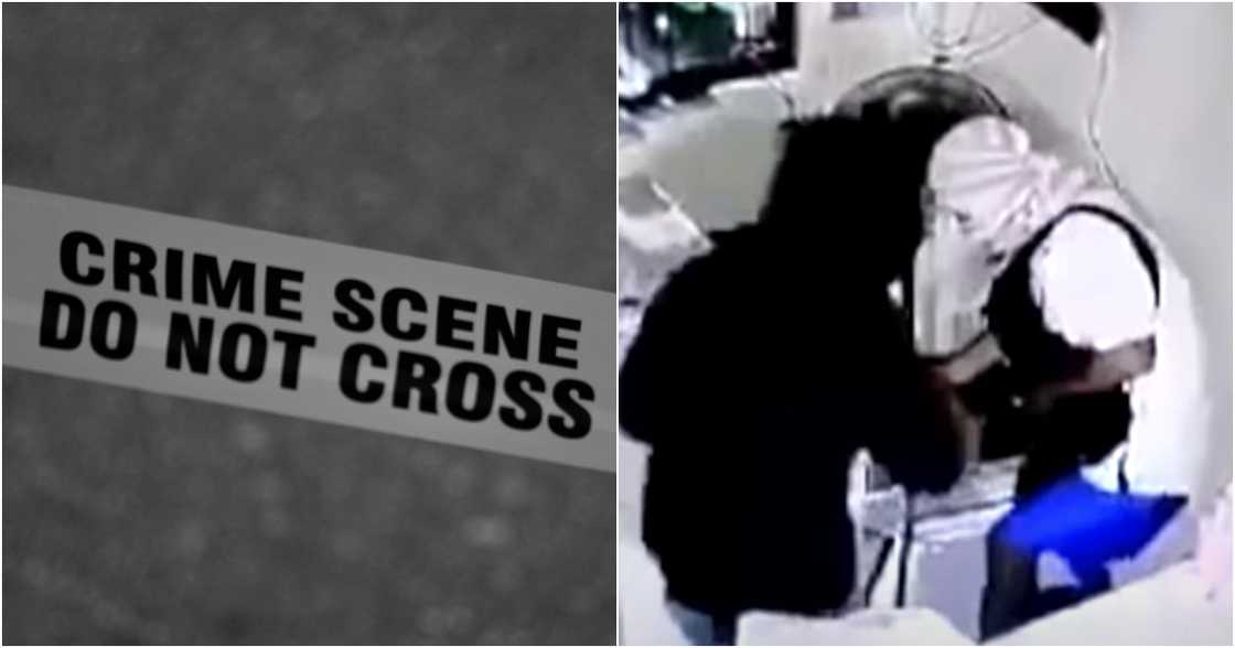 Frontline Pilipinas/TV 5/News5Everywhere on YouTube
Mark D'aiuto on Pexels Frontline Pilipinas/TV 5/News5Everywhere on YouTube
Mark D'aiuto on Pexels