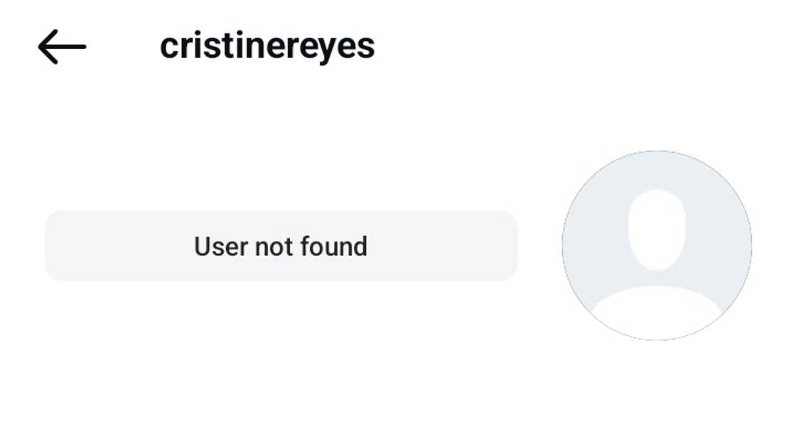 Napansin ng kanilang mga tagahanga ang biglaang pagkawala ng Instagram account ni Cristine