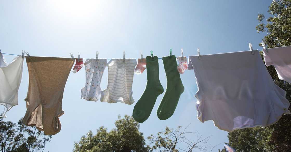Filipino student creates weather app to help solve grandma’s laundry dilemma Filipino student creates weather app to help solve grandma’s laundry dilemma