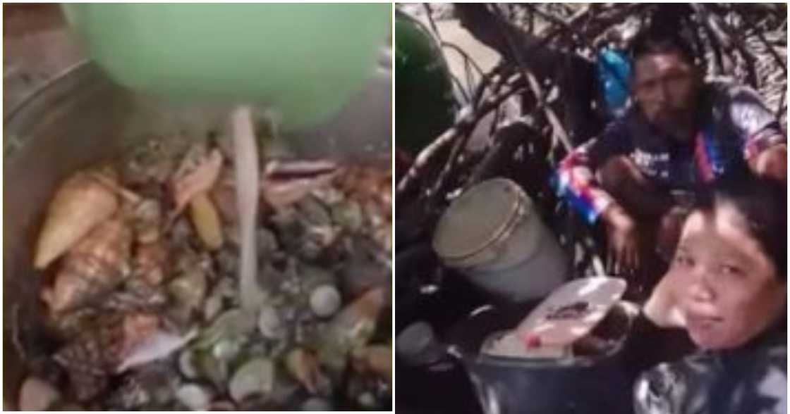Food vlogger sa Palawan, nasawi matapos makakain ng nakalalasong "devil crab"