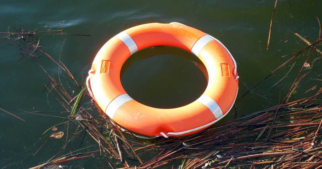 Estudyante Estudyante