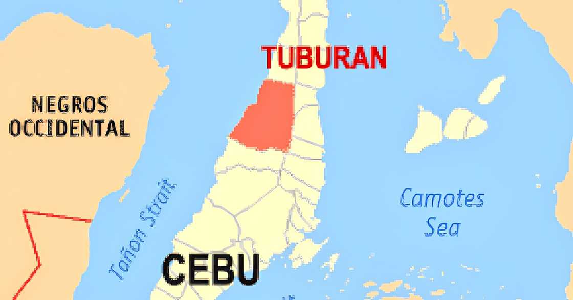 Cebu grade 12 student collapses, dies during school dance performance