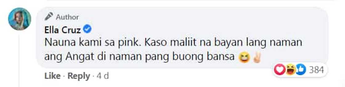 Ella Cruz, nilinaw na walang kinalaman kay VP Leni Robredo ang campaign color ng ama