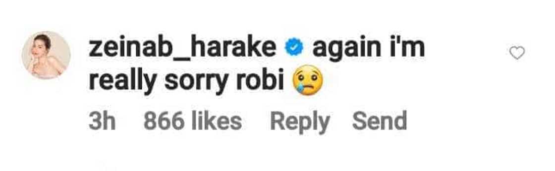 Zeinab Harake, humingi ng sorry kay Robi Domingo sa isang IG comment