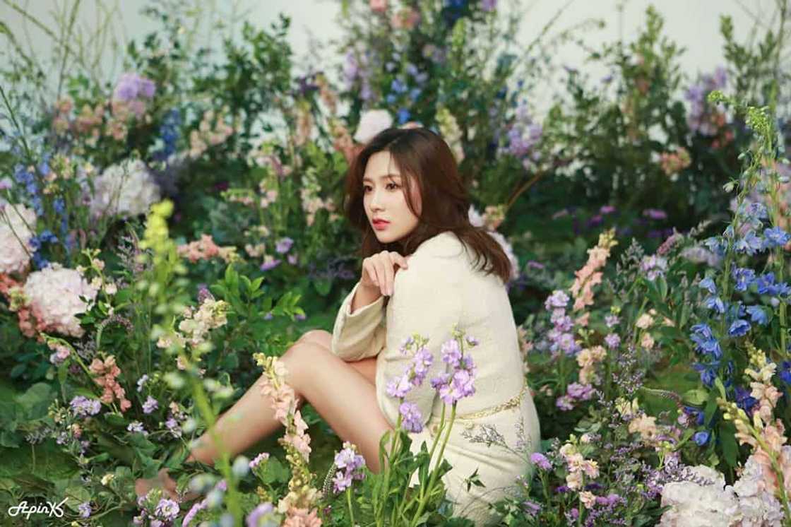 Apink members age Apink members age