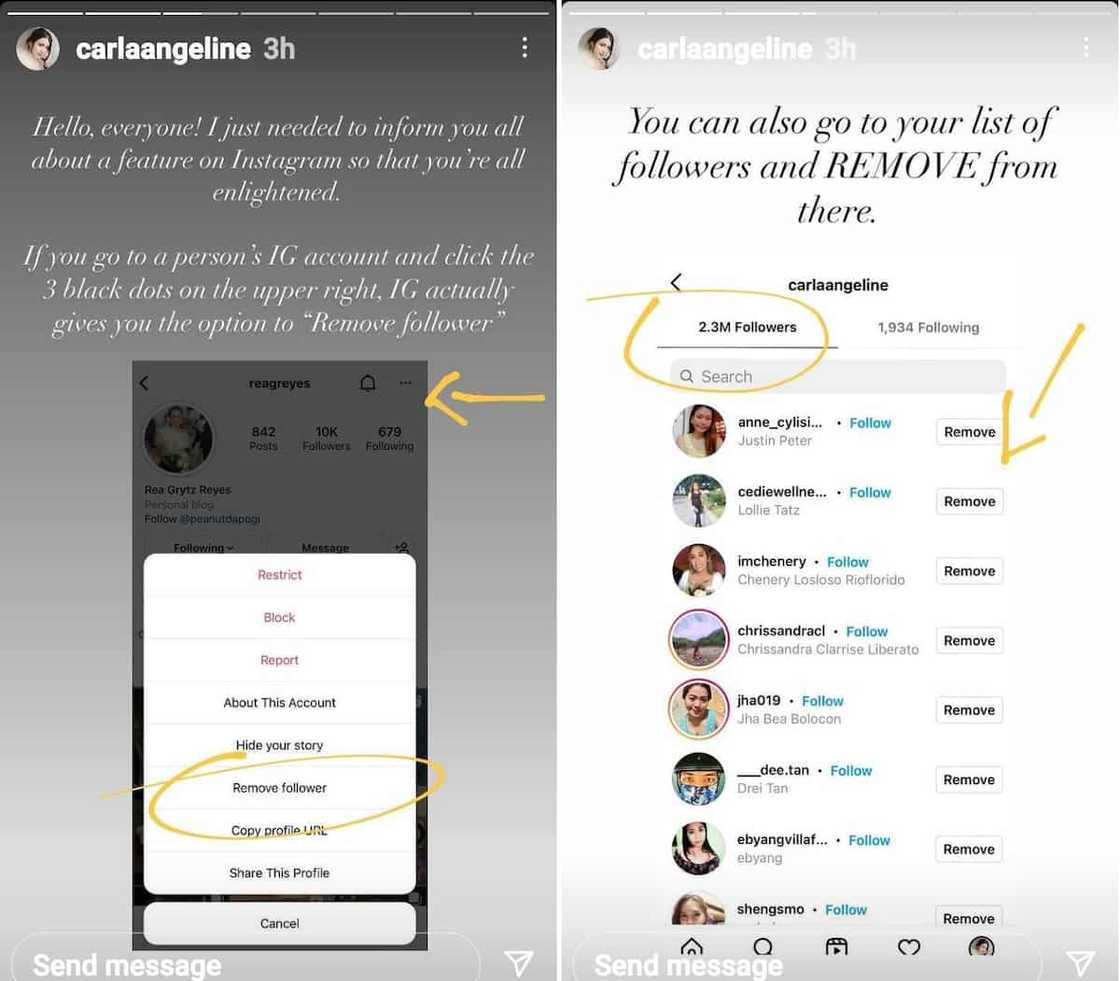 Carla Abellana enlightens netizens about 'remove follower' feature on IG Carla Abellana enlightens netizens about 'remove follower' feature on IG