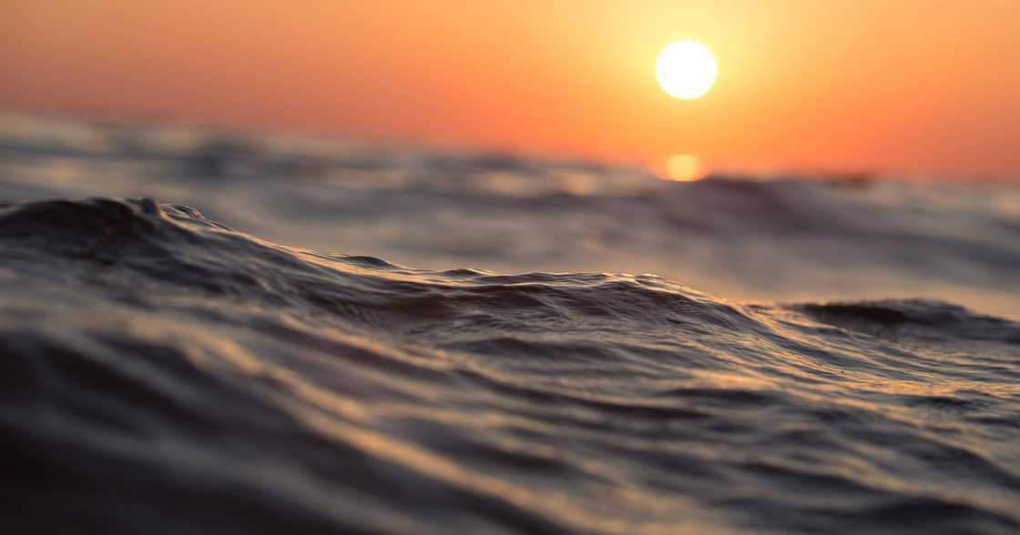 Photo: Pixabay Photo: Pixabay