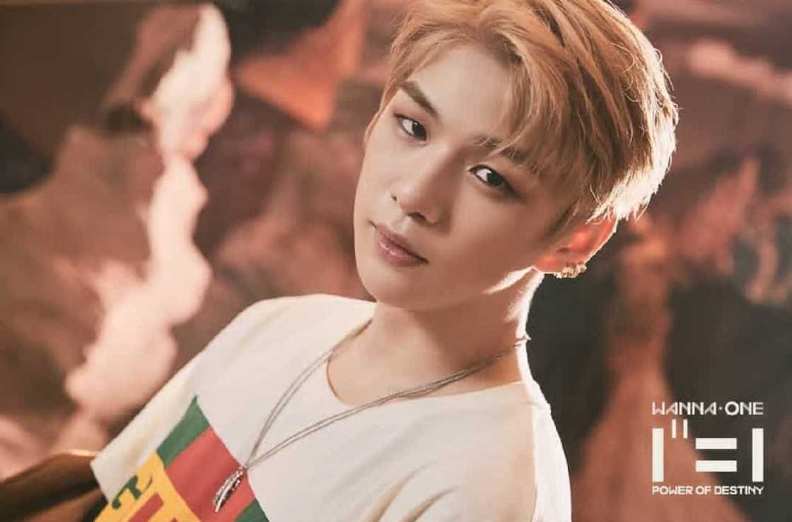 Wanna One members Wanna One members