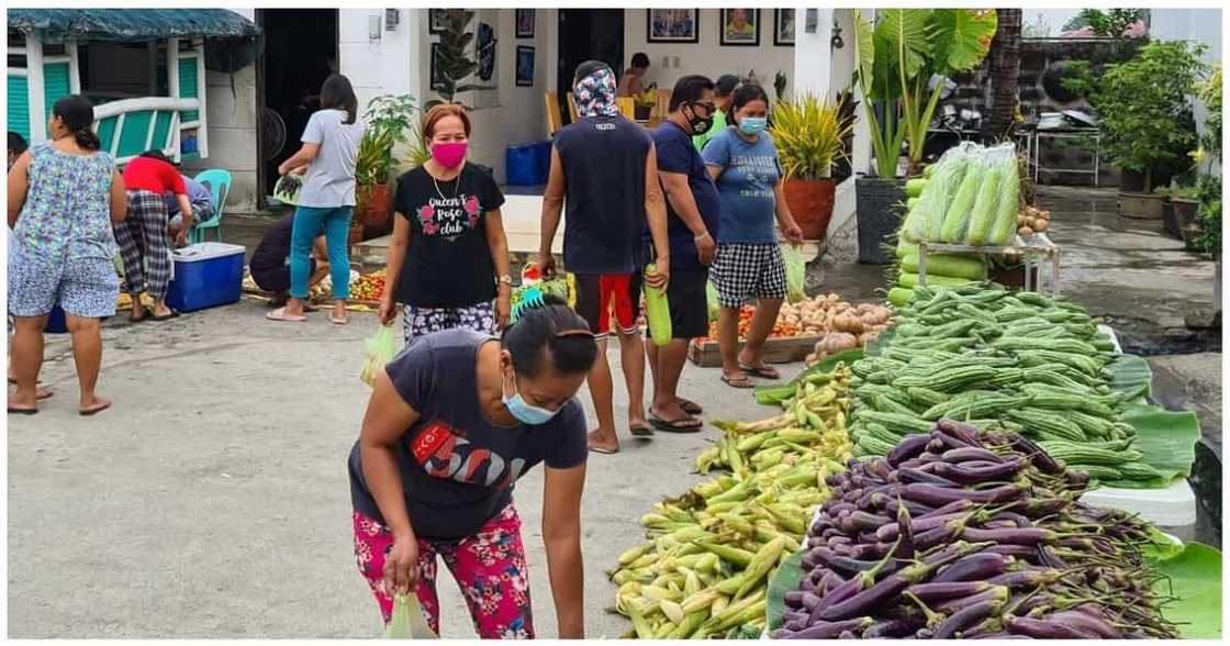Community pantry sa Bulacan, nagmistulang "mini-market" sa dami ng ibinabahagi Community pantry sa Bulacan, nagmistulang "mini-market" sa dami ng ibinabahagi