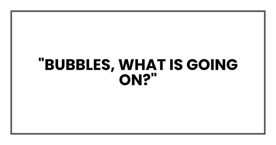 "Bubbles, what is going on?"