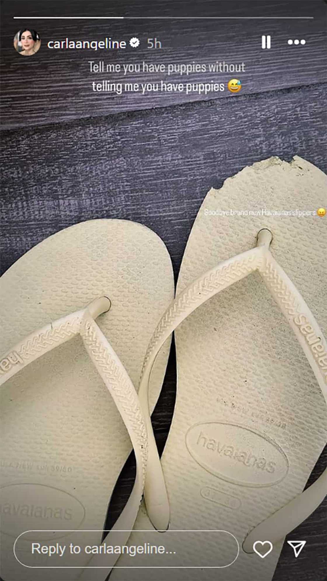 Carla Abellana, shinare pic ng tsinelas: "Tell me you have puppies without saying you have puppies" Carla Abellana, shinare pic ng tsinelas: "Tell me you have puppies without saying you have puppies"