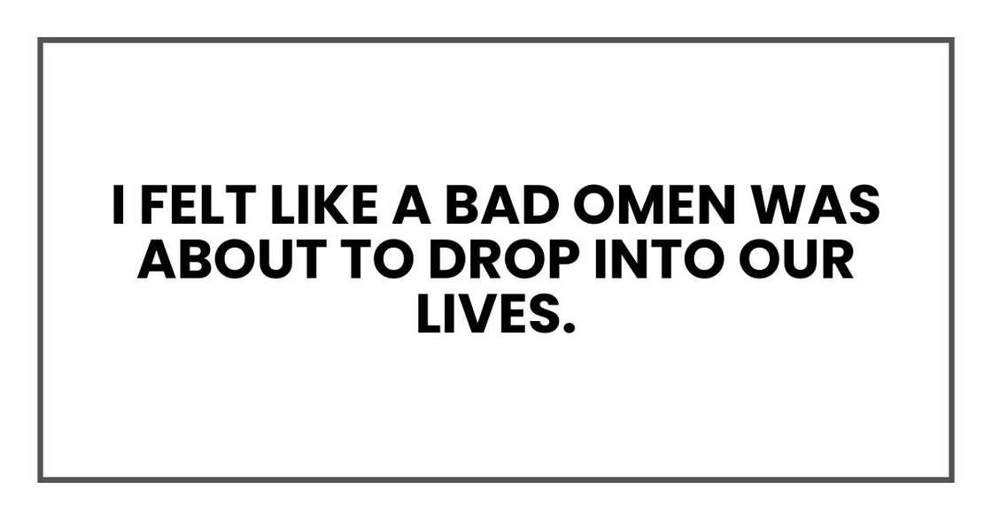 I felt like a bad omen was about to drop into our lives. I felt like a bad omen was about to drop into our lives.