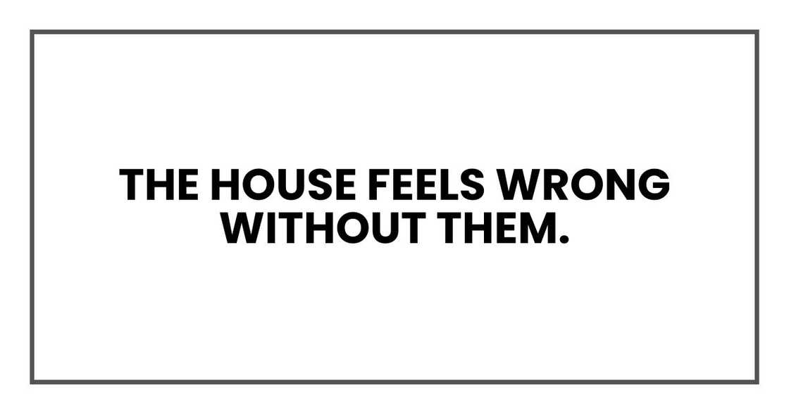 The house feels wrong without them.