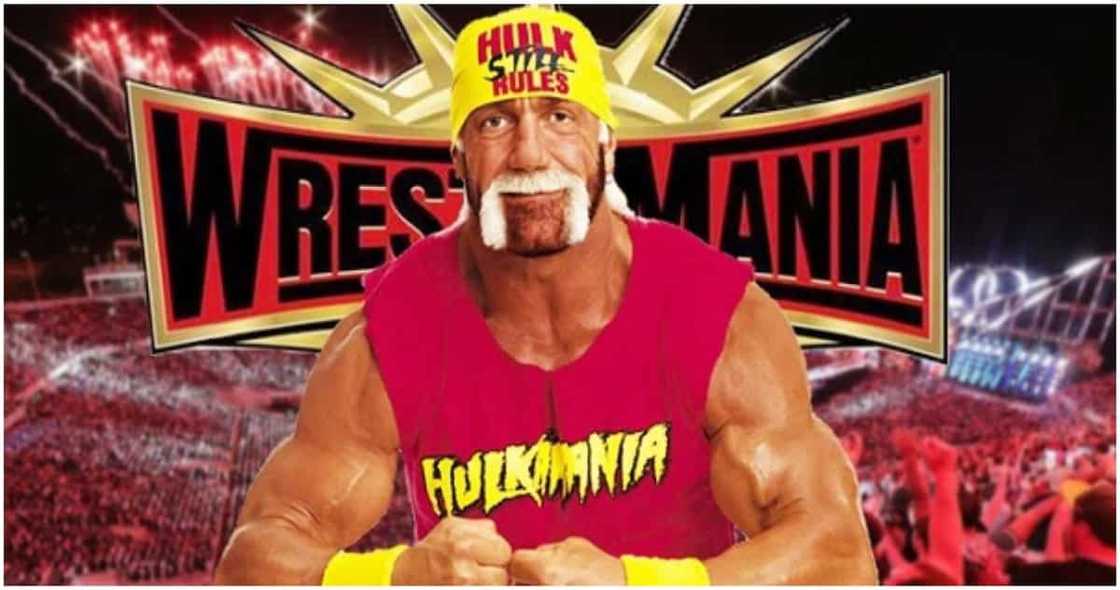 Richest wrestlers 2020 Richest wrestlers 2020