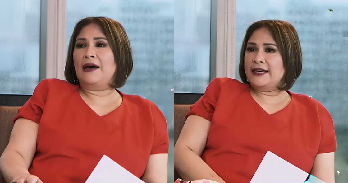 Janice de Belen