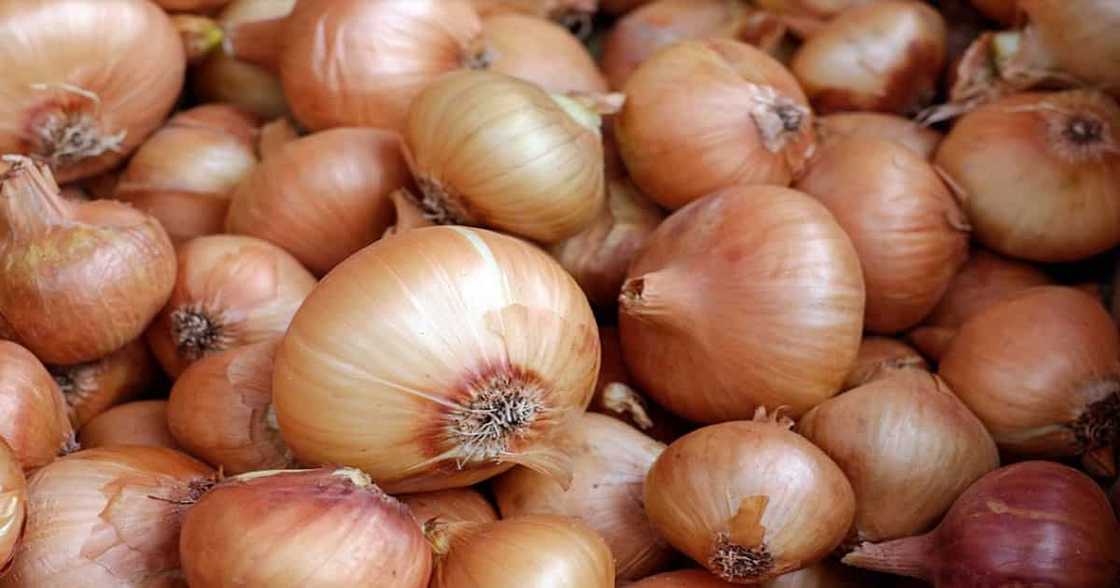 White onions White onions