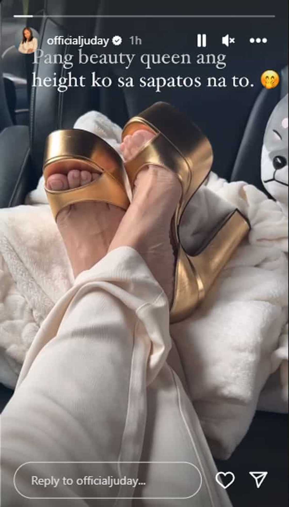 Judy Ann Santos Judy Ann Santos