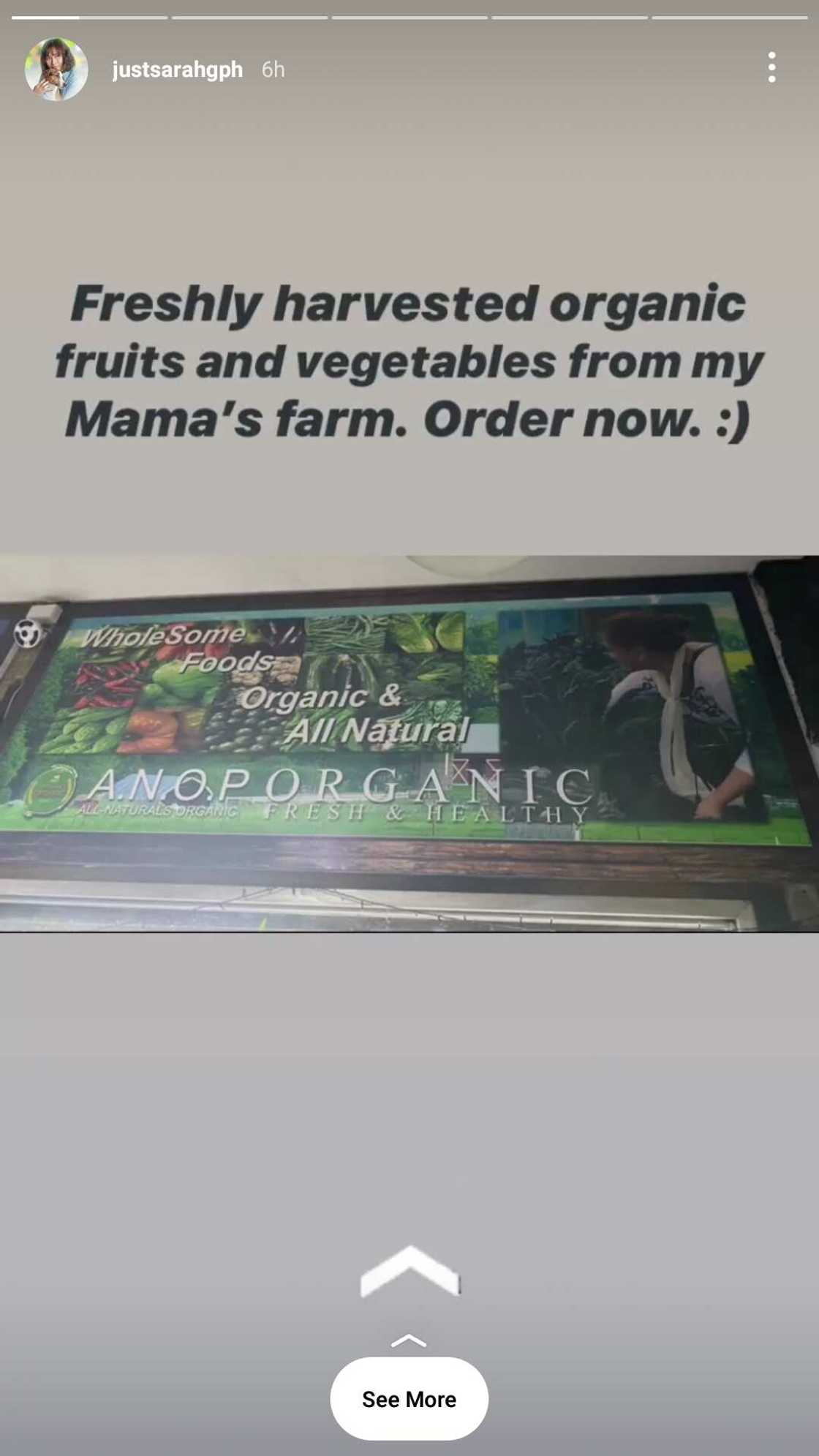 Sarah Geronimo advertised Mommy Divine's organic farm products after their supposed altercation last year