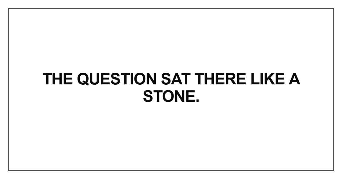 The question sat there like a stone