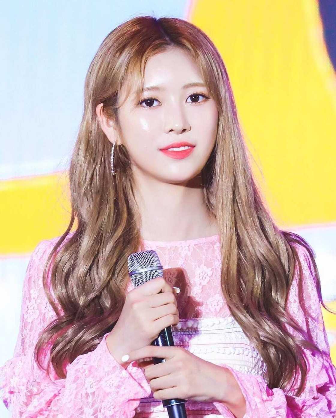 Momoland Members birthdays Momoland Members birthdays