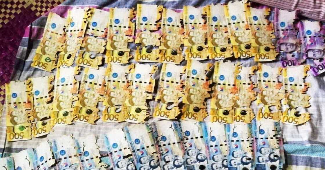 Lolong nagdedeliver ng ice, nanlumo pagkatapos kinain ng anay ang halos P50K na ipon Lolong nagdedeliver ng ice, nanlumo pagkatapos kinain ng anay ang halos P50K na ipon