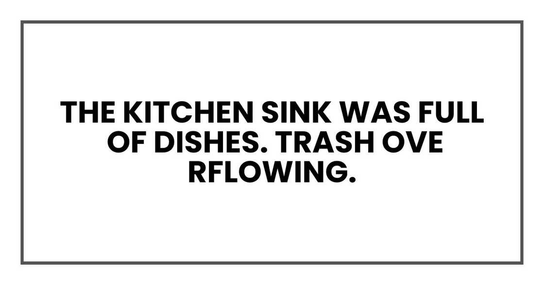 The kitchen sink was full of dishes. Trash overflowing.