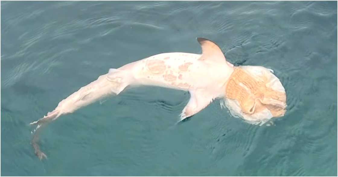 One Mindanao/GMA 7/GMA Regional TV on YouTube One Mindanao/GMA 7/GMA Regional TV on YouTube