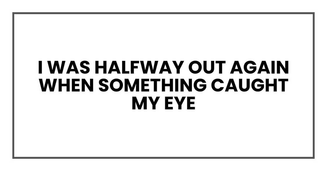 I was halfway out again when something caught my eye