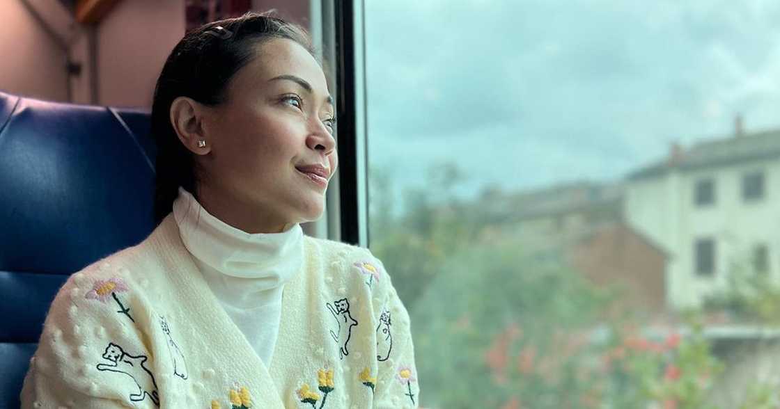 Jodi Sta. Maria, nagbahaging panalangin para sa naapektuhan ng bagyong Kristine Jodi Sta. Maria, nagbahaging panalangin para sa naapektuhan ng bagyong Kristine