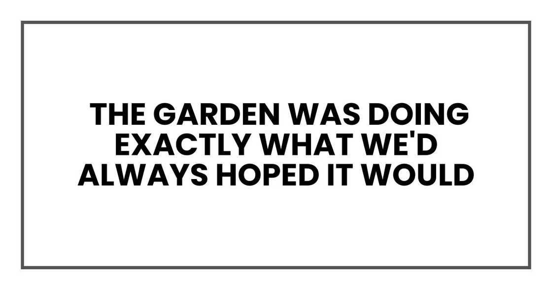 the garden was doing exactly what we'd always hoped it would the garden was doing exactly what we'd always hoped it would