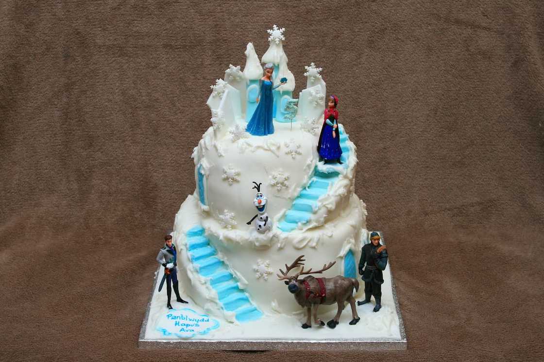 Frozen cake design Frozen cake design
