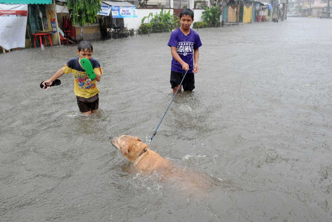 Two boys and a dog are inside a body of water.