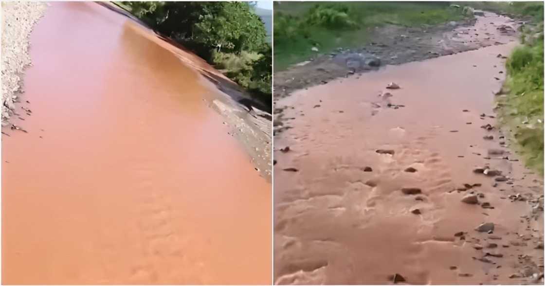 Balitanghali/GMA-7/GMA Intergrated News on YouTube Balitanghali/GMA-7/GMA Intergrated News on YouTube