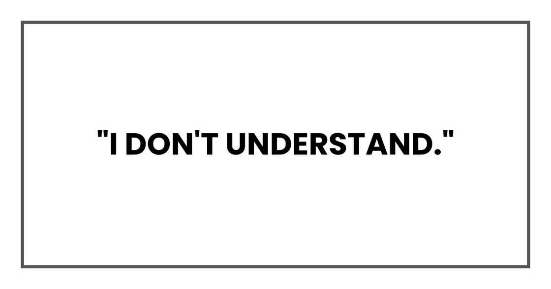 "I don't understand." "I don't understand."