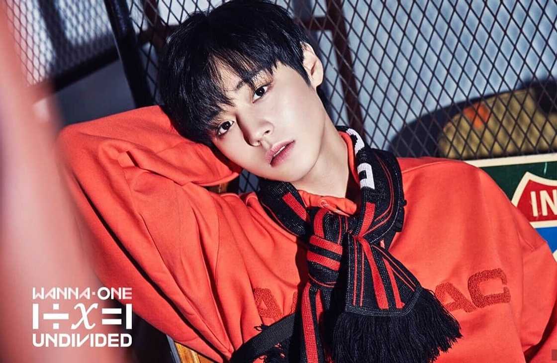 Wanna One members Wanna One members