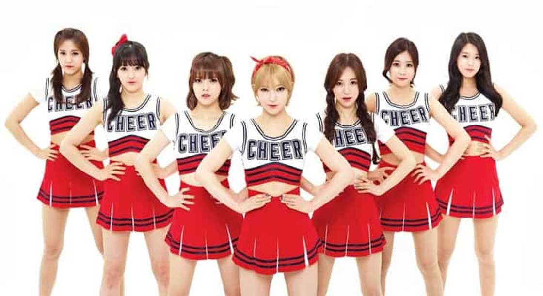 AOA members profile