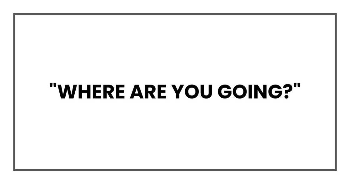 "Where are you going?" "Where are you going?"