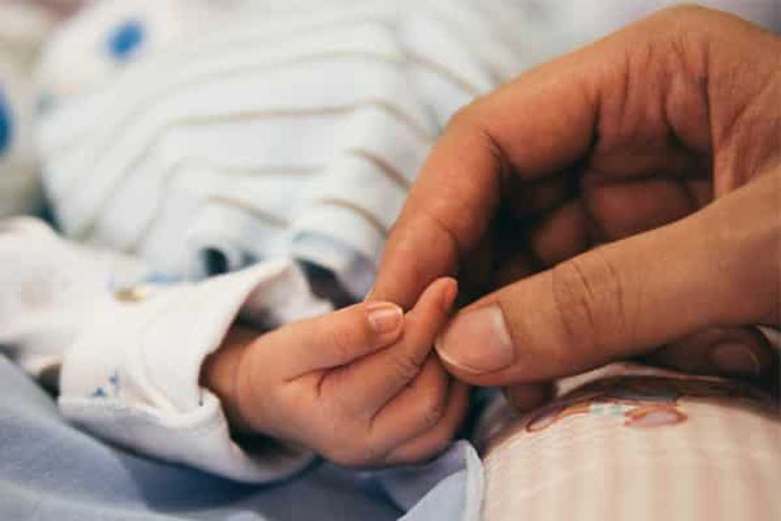 3-buwang sanggol naiwan sa baby bouncer, patay 3-buwang sanggol naiwan sa baby bouncer, patay