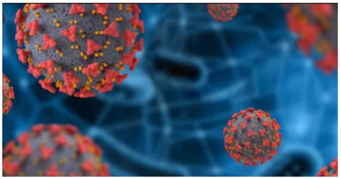 Artificial Intelligence mula SG, nasasabi kung kailan matatapos ang COVID-19 sa isang bansa Artificial Intelligence mula SG, nasasabi kung kailan matatapos ang COVID-19 sa isang bansa