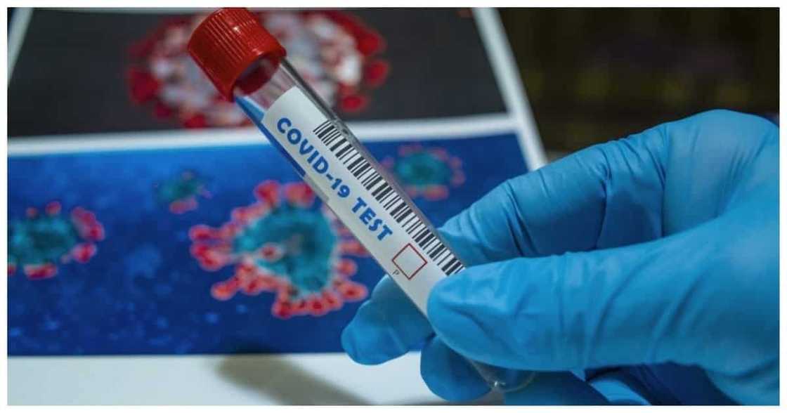 Pinakamataas na bilang ng COVID-19 cases sa loob ng isang araw, naitala ngayong Agosto 20 Pinakamataas na bilang ng COVID-19 cases sa loob ng isang araw, naitala ngayong Agosto 20