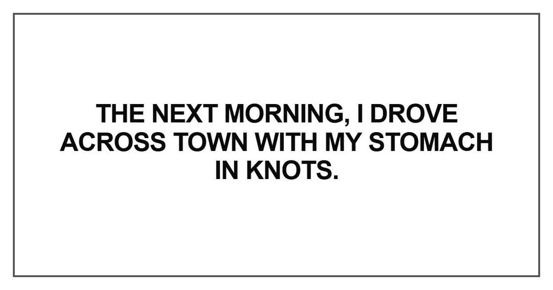 The next morning, I drove across town The next morning, I drove across town