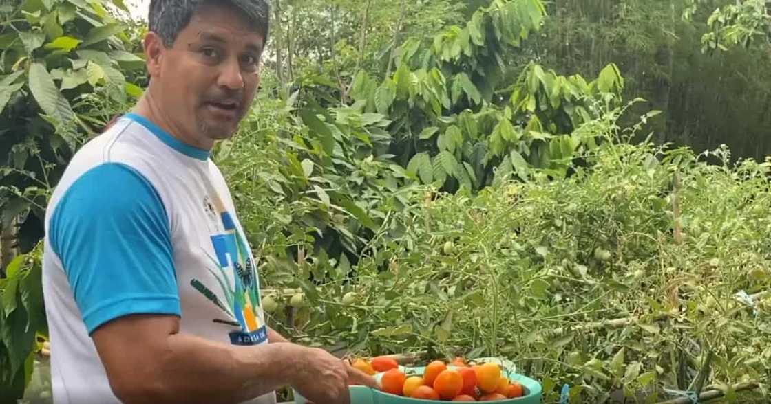Richard Gomez (@richardgomezph) Richard Gomez (@richardgomezph)