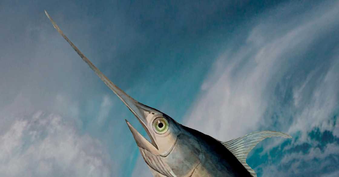 Photo: Pixabay Photo: Pixabay