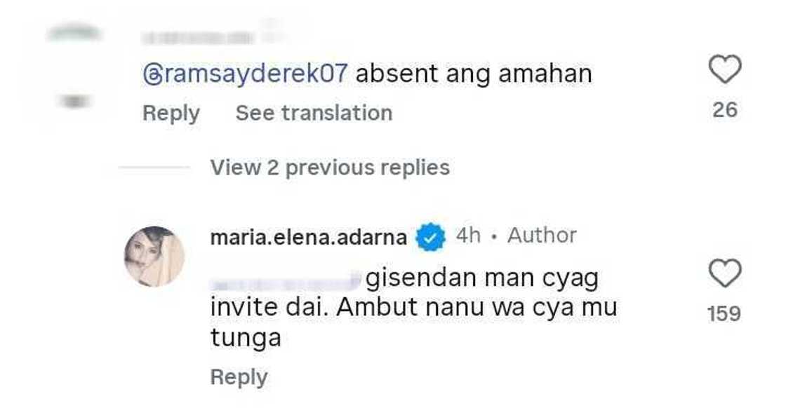 Ellen Adarna, sinagot kung bakit wala si Derek Ramsay sa 1st Birthday Party ni Liana