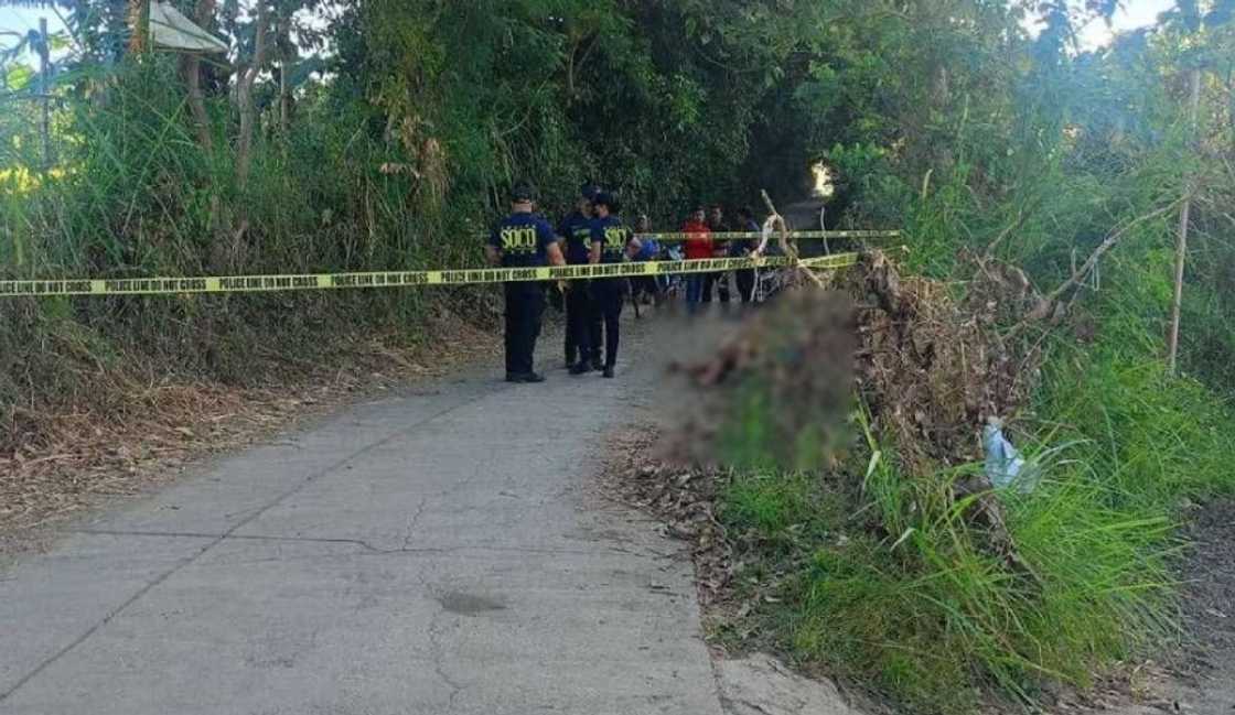 Warehouse worker killed by colleagues over alleged workplace tip-off