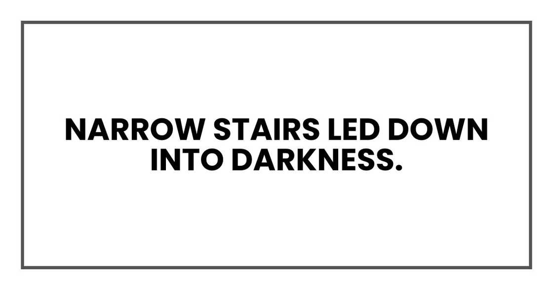 Narrow stairs led down into darkness.