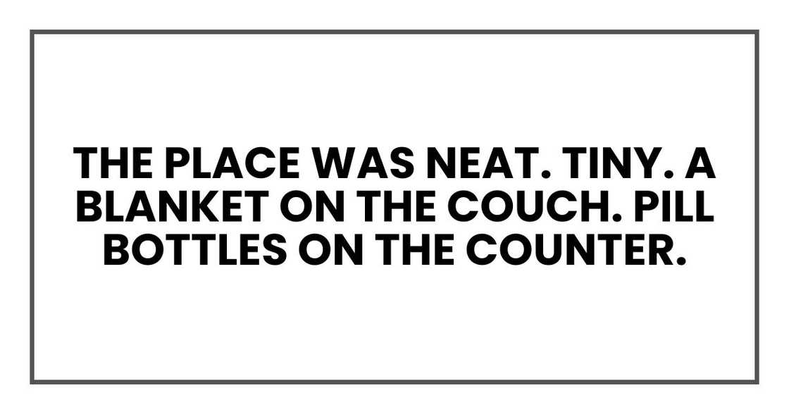 The place was neat. Tiny. A blanket on the couch. Pill bottles on the counter.