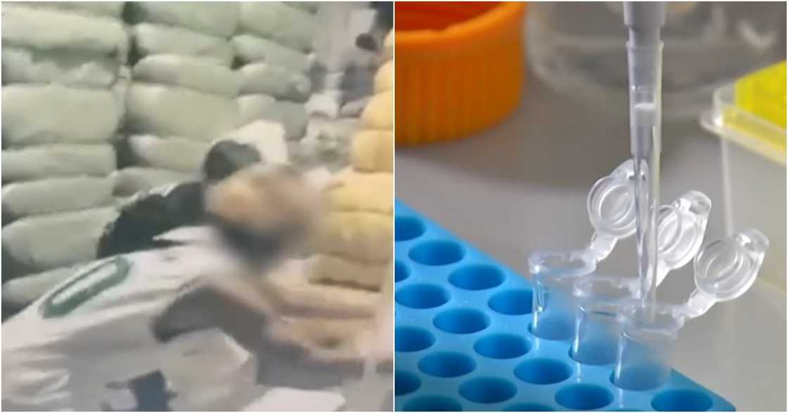 24-Oras/GMA-7/GMA Integrated News on YouTube 24-Oras/GMA-7/GMA Integrated News on YouTube