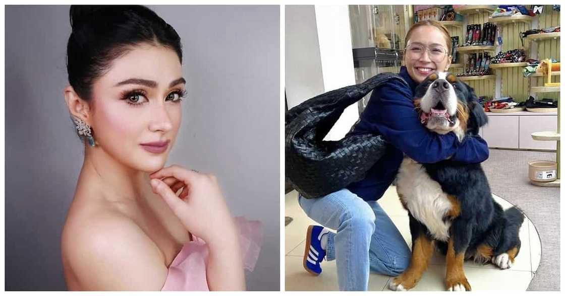 Carla Abellana reacts to Kathryn Bernardo's post petting a stranger's dog